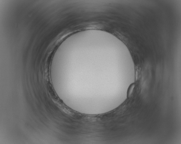 X0000080750339200701122009