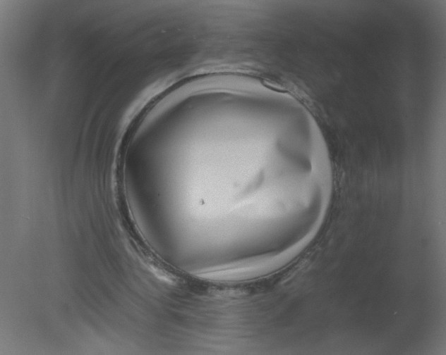 X0000080750340200701122009