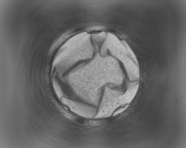 X0000080750341200701122009