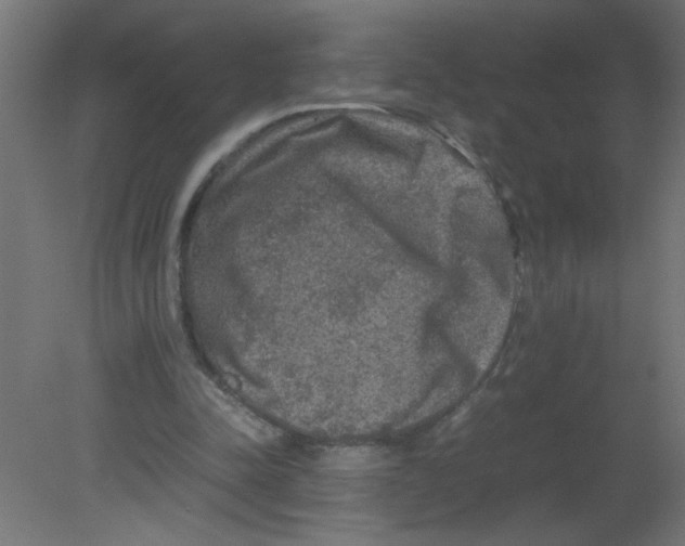 X0000080750342200701122009