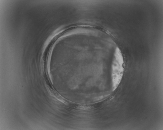 X0000080750343200701122009