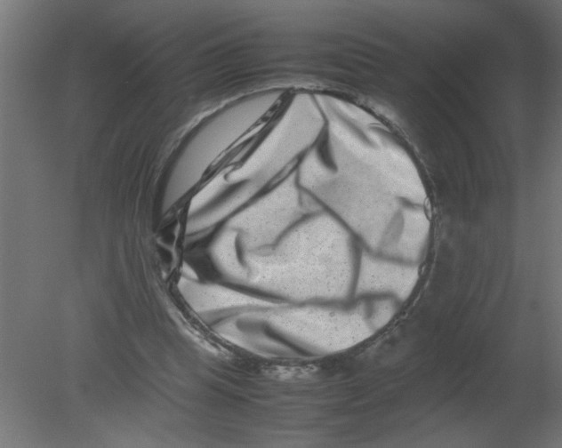 X0000080750345200701122009