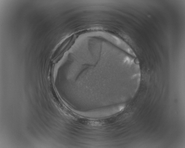 X0000080750347200701122009