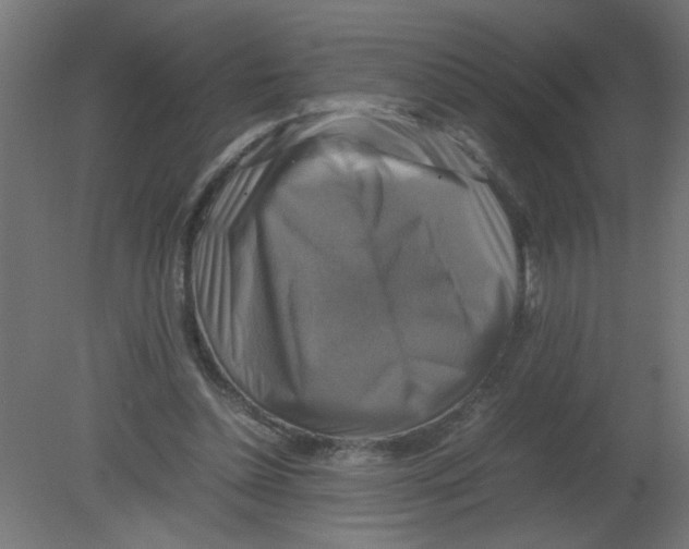 X0000080750348200701122009