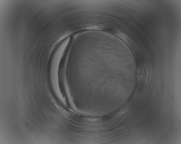 X0000080750349200701122009