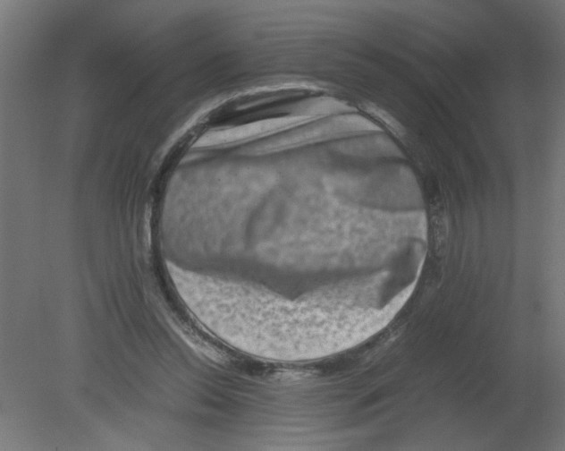 X0000080750350200701122009