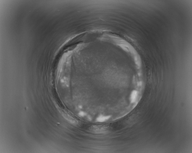 X0000080750351200701122009