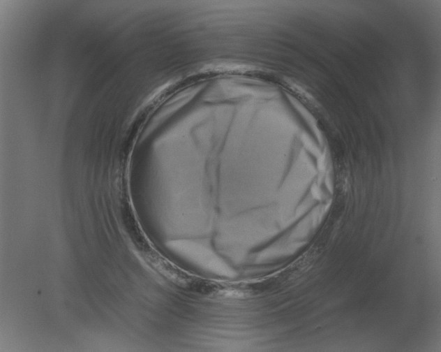 X0000080750352200701122009