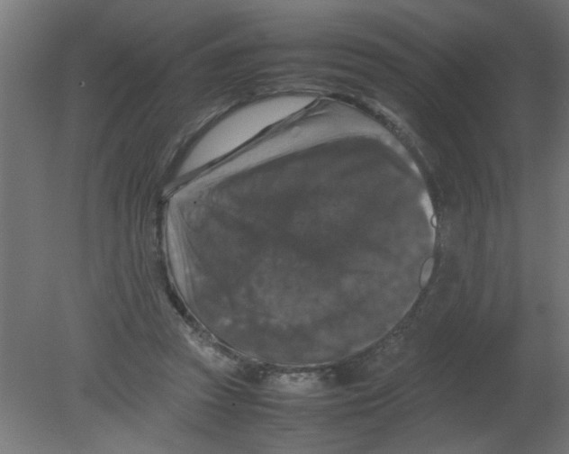 X0000080750353200701122009