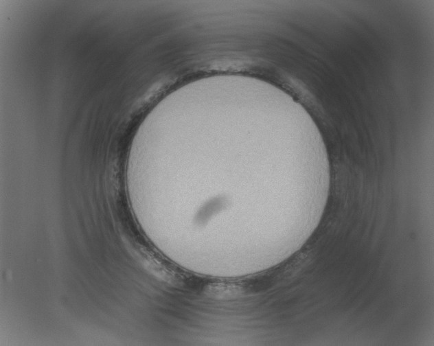 X0000080750354200701122009