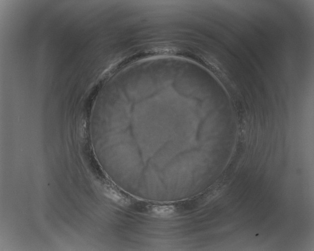 X0000080750355200701122009