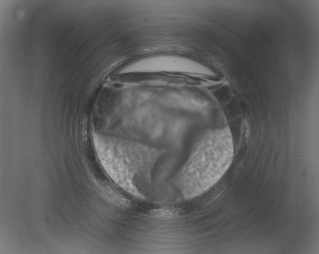 X0000080750356200701122009