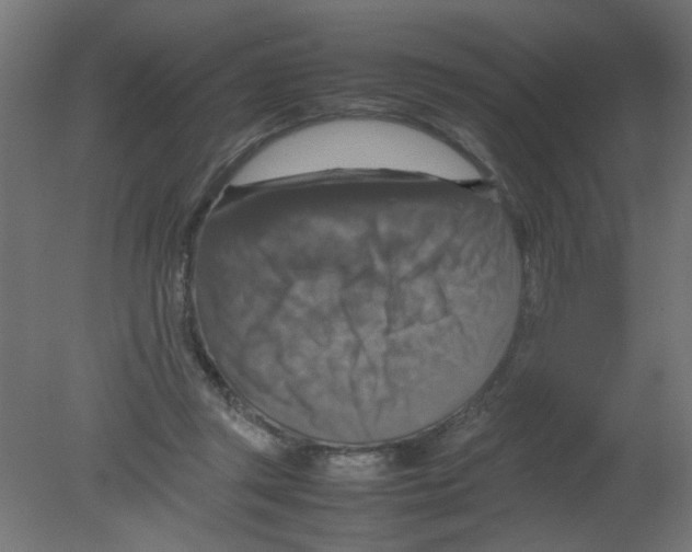 X0000080750357200701122009