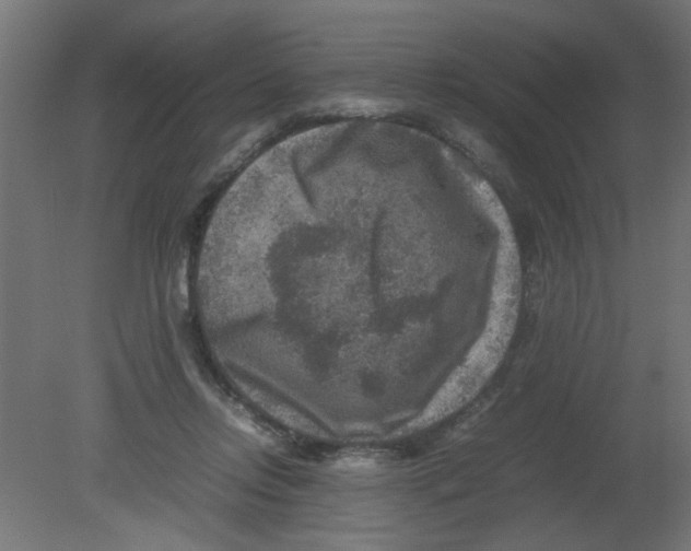 X0000080750358200701122009