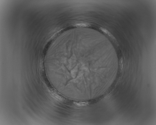 X0000080750359200701122009