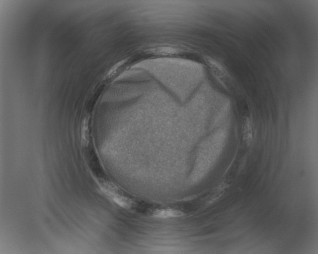 X0000080750360200701122009