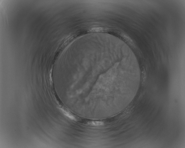 X0000080750361200701122009