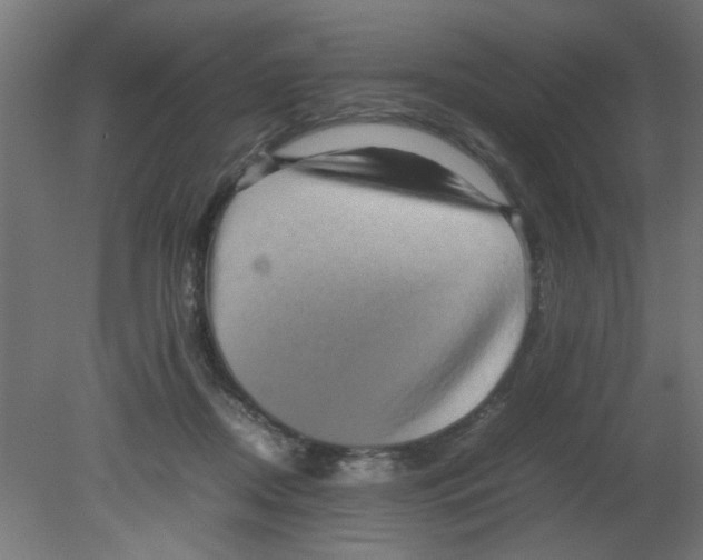 X0000080750362200701122009