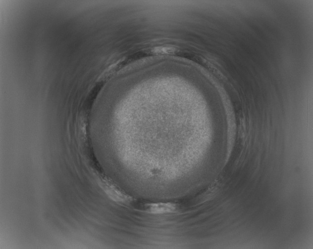 X0000080750363200701122009