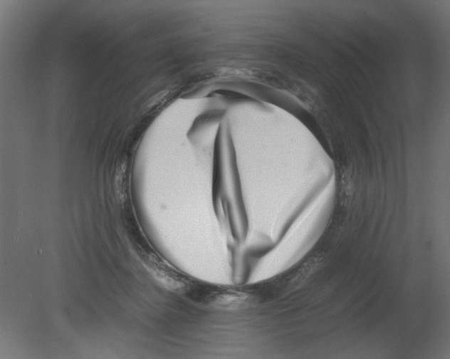 X0000080750364200701122009