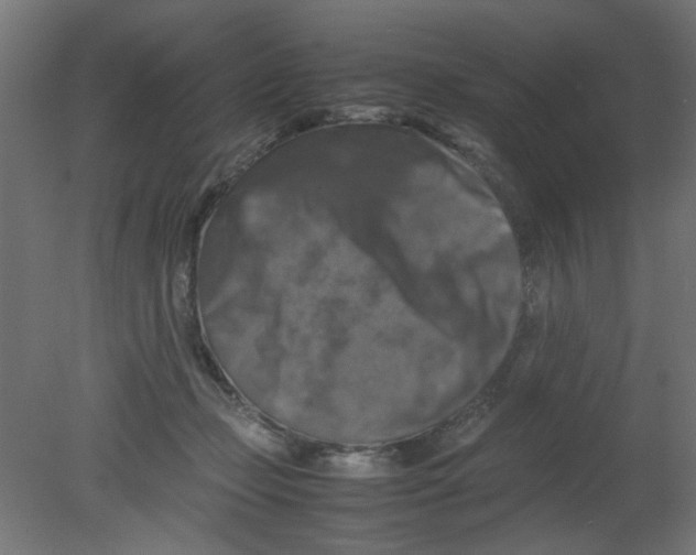 X0000080750365200701122009