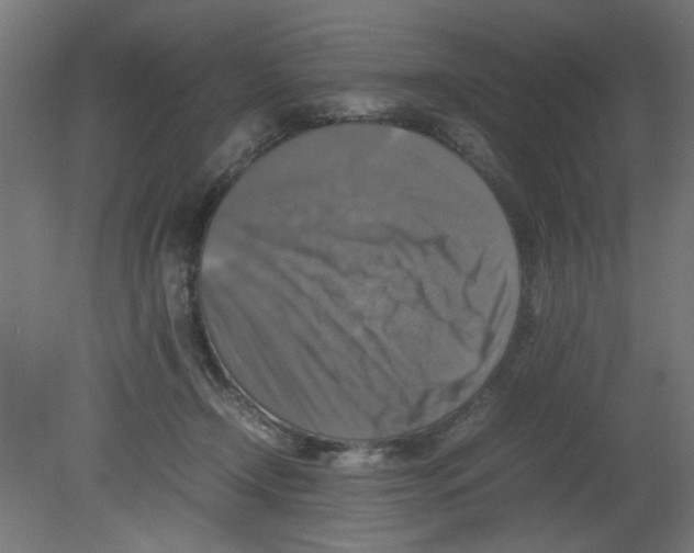 X0000080750366200701122009