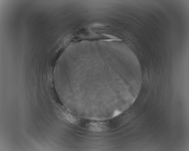 X0000080750367200701122009