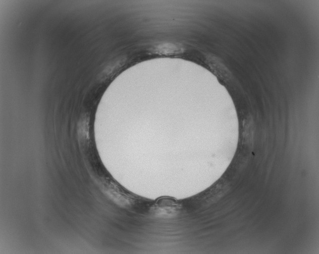 X0000080750368200701122009