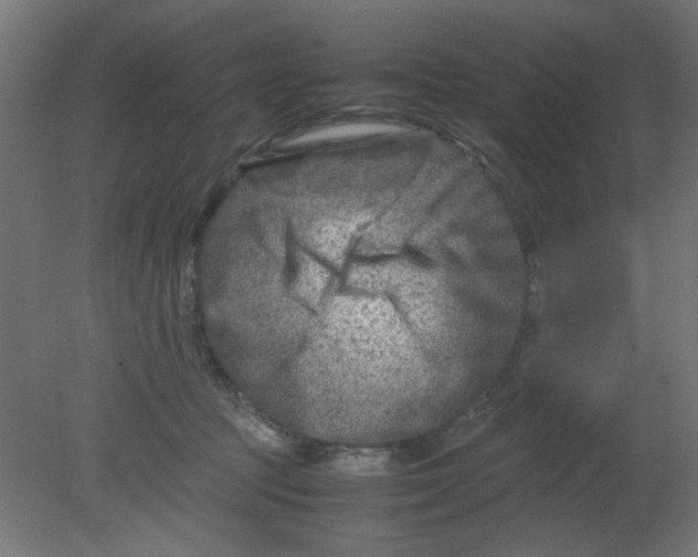 X0000080750369200701122009