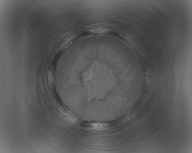 X0000080750371200701122009