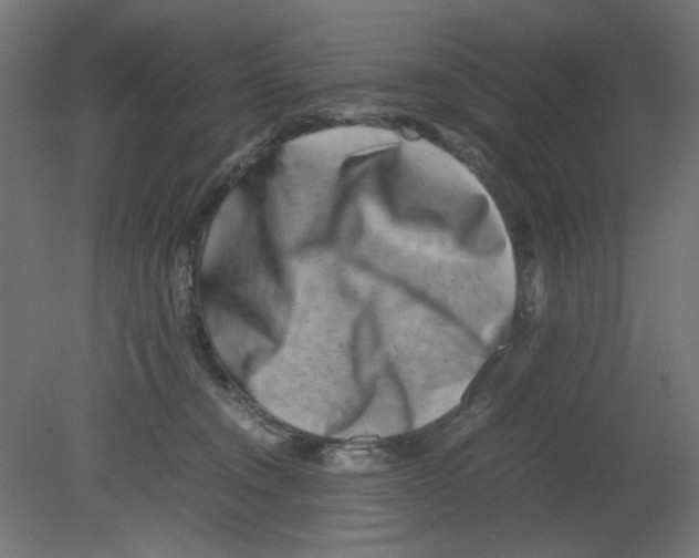 X0000080750372200701122009