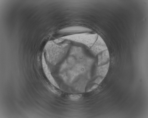 X0000080750373200701122009