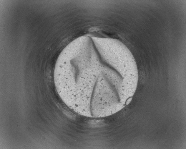 X0000080750375200701122009