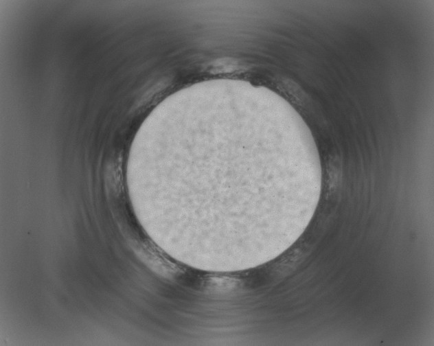 X0000080750376200701122009