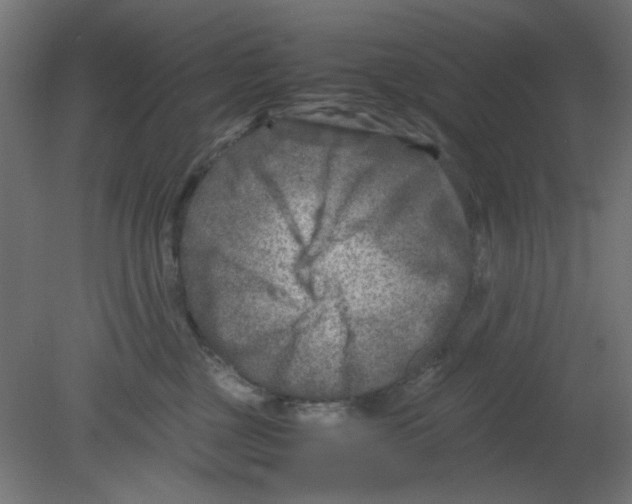 X0000080750377200701122009