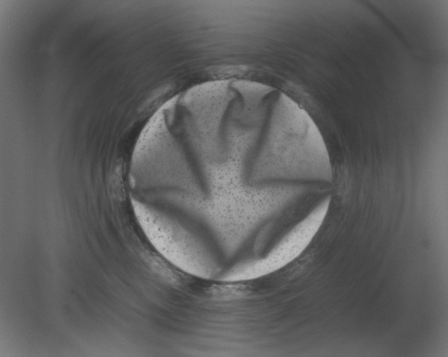 X0000080750378200701122009