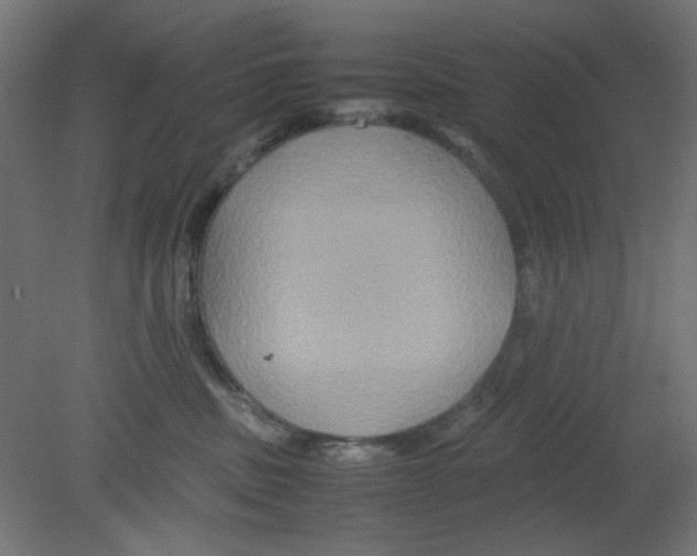 X0000080750379200701122009