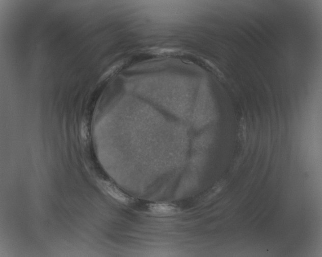 X0000080750380200701122009