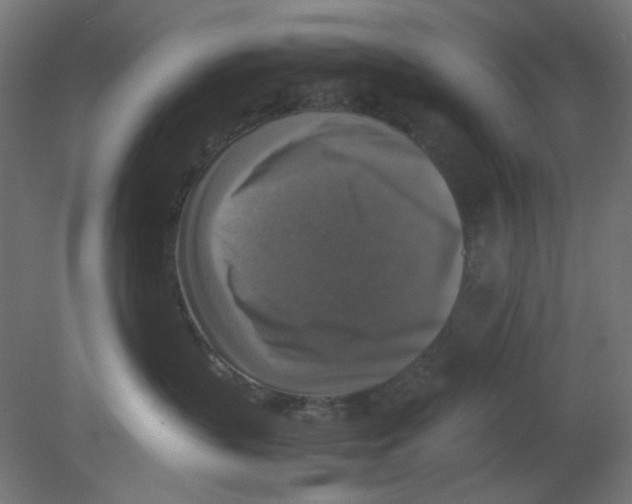 X0000080750383200701122009