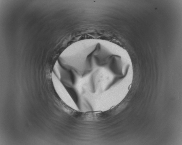 X0000080750384200701122009