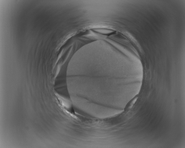 X0000080750385200701122009