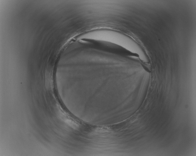 X0000080750386200701122009