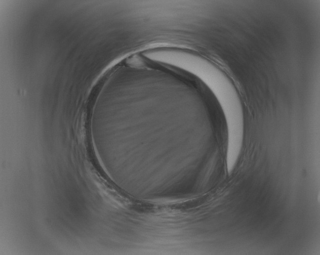 X0000080750387200701122009