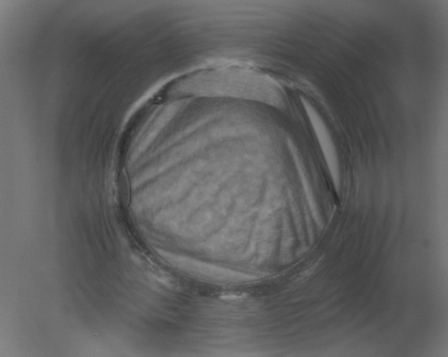 X0000080750388200701122009