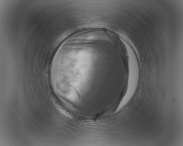 X0000080750389200701122009