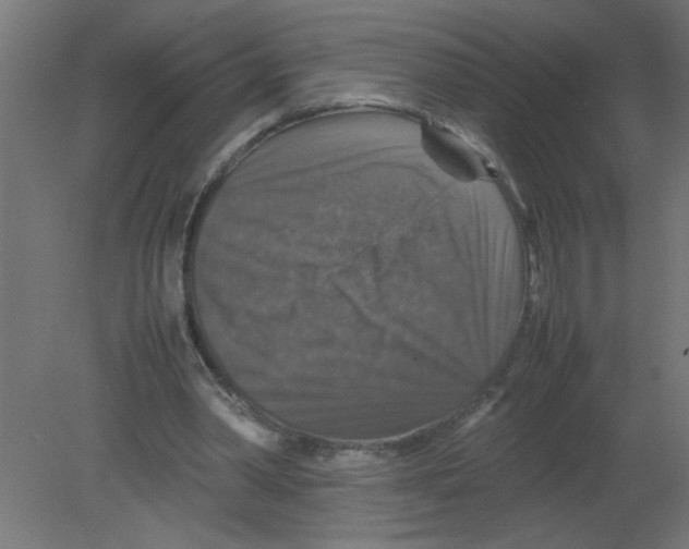 X0000080750390200701122008