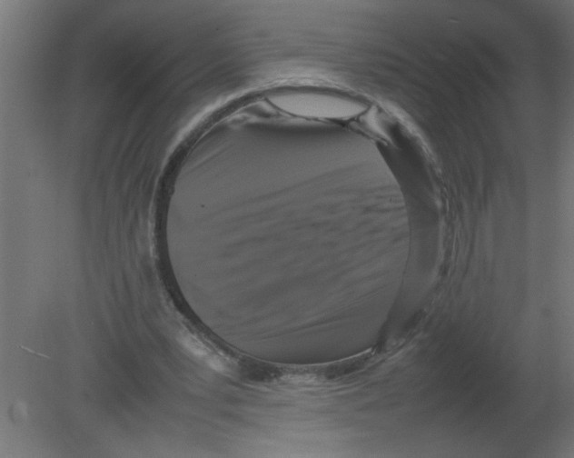 X0000080750391200701122008