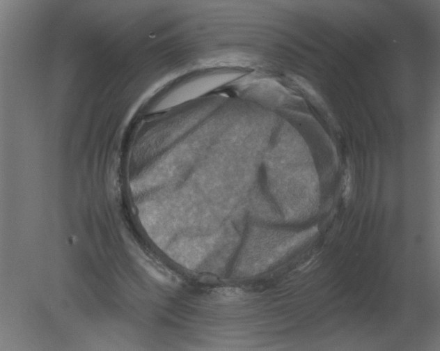 X0000080750392200701122008