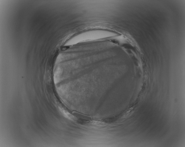 X0000080750393200701122008