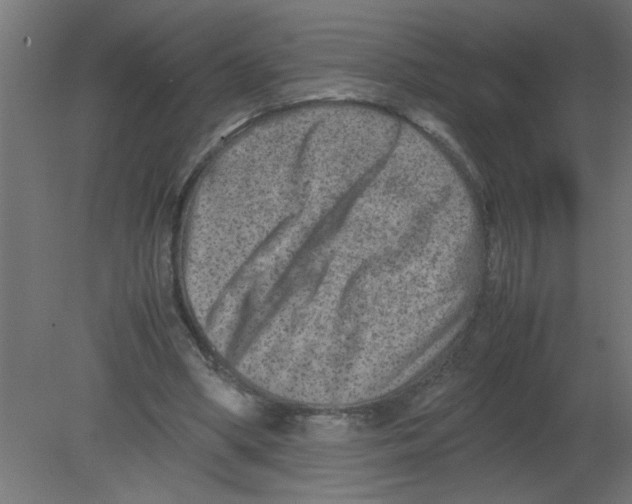 X0000080750394200701122008